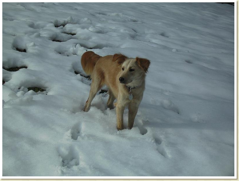 SOE im Schnee